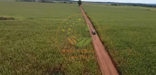Fazenda / Sítio / Chácara com 4 Quartos à venda, 672m² no Centro, Paraíso do Tocantins
