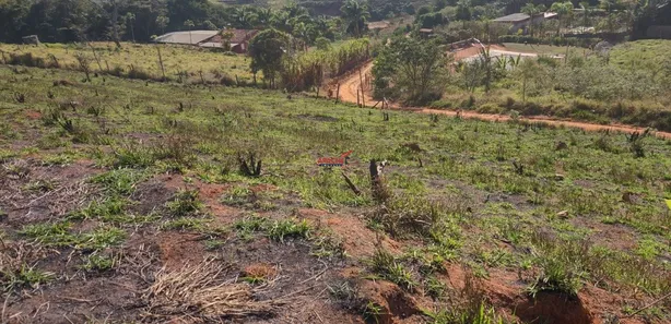Fazenda / Sítio / Chácara com 1 Quarto à venda, 3500m² no Área Rural de Viçosa, Viçosa