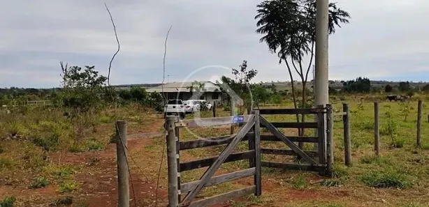 Fazenda / Sítio / Chácara com 1 Quarto à venda, 100m² no Área Rural de Campo Grande, Campo Grande