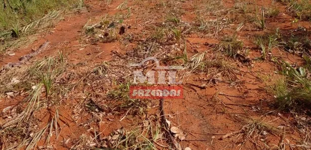 Fazenda / Sítio / Chácara à venda, 1050m² no , Ponte Alta do Tocantins