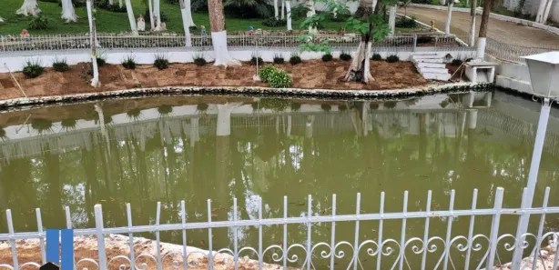 Fazenda / Sítio / Chácara com 3 Quartos à venda, 4900m² no Jardim Pinheirinho, Embu das Artes