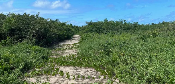 Terreno / Lote / Condomínio à venda, 46000m² no , Barra de Santo Antônio