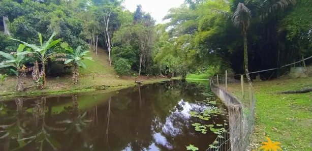 Fazenda / Sítio / Chácara com 3 Quartos à venda, 350m² no Retiro (Bacaxá), Saquarema