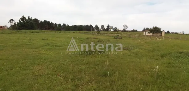 Terreno / Lote / Condomínio para alugar, 2000m² no Quississana, São José dos Pinhais
