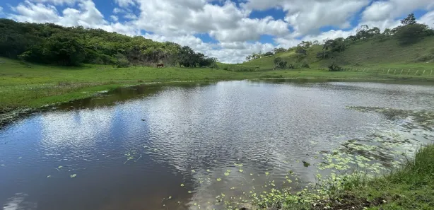 Fazenda / Sítio / Chácara com 2 Quartos à venda, 125000m² no , Sairé