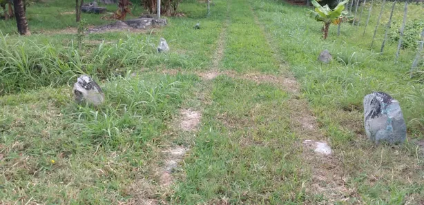 Fazenda / Sítio / Chácara com 2 Quartos à venda, 150m² no Gravatá Centro, Gravatá