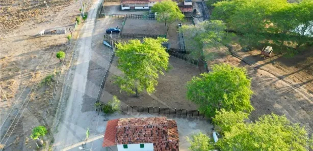 Fazenda / Sítio / Chácara com 4 Quartos à venda, 2950000m² no , Passira