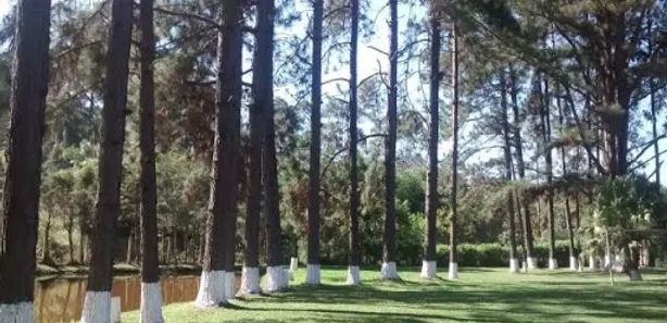 Fazenda / Sítio / Chácara com 3 Quartos à venda, 350m² no Barrinha, São Lourenço da Serra