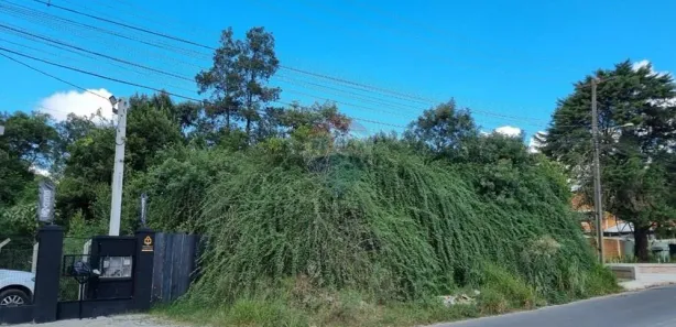 Terreno / Lote / Condomínio à venda, 1857m² no Campina do Arruda, Almirante Tamandaré