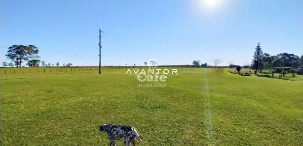 Fazenda / Sítio / Chácara com 4 Quartos à venda, 300m² no Centro, Santa Maria