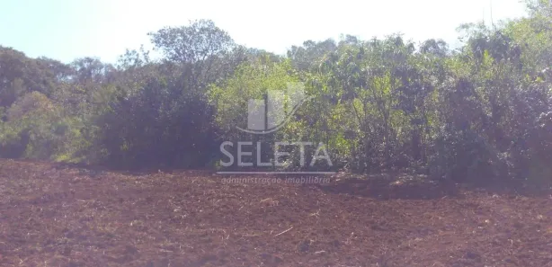 Fazenda / Sítio / Chácara com 3 Quartos à venda, 120m² no Área Rural de Cascavel, Cascavel