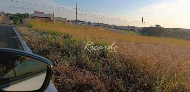 Terreno / Lote / Condomínio à venda, 292m² no Jardim Califórnia, Sabáudia