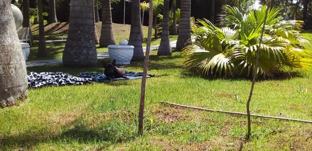 Casa de Condomínio com 3 Quartos à venda, 200m² no Residencial Porta do Sol, Mairinque