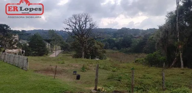 Fazenda / Sítio / Chácara com 2 Quartos à venda, 33445m² no Santa Gema, Colombo