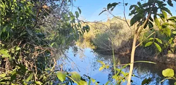 Fazenda / Sítio / Chácara com 3 Quartos à venda, 242000m² no , Padre Bernardo