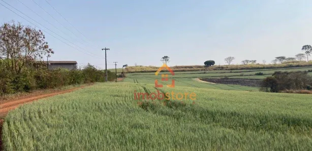 Terreno / Lote Comercial à venda, 91474m² no Parque Industrial, Ibiporã