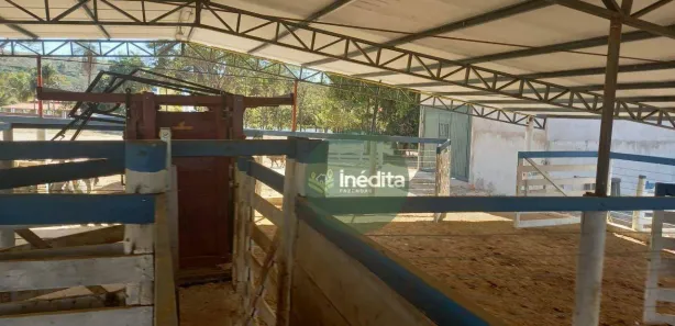 Fazenda / Sítio / Chácara à venda, 1520000m² no Área Rural de Novo Gama, Novo Gama