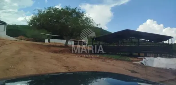 Fazenda / Sítio / Chácara à venda, 76600m² no Divinópolis, Caruaru