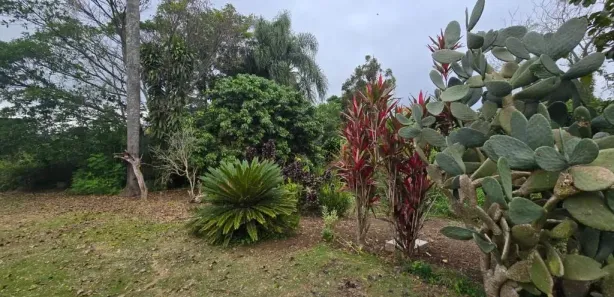 Fazenda / Sítio / Chácara com 4 Quartos para alugar, 200m² no Chácaras Ceres, Suzano