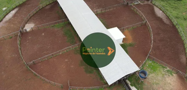 Fazenda / Sítio / Chácara com 3 Quartos à venda, 49029200m² no , Lagoa da Confusão