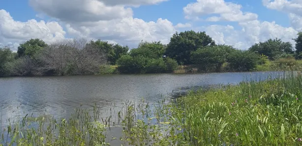 Fazenda / Sítio / Chácara à venda, 4500000m² no zona rural, Ielmo Marinho