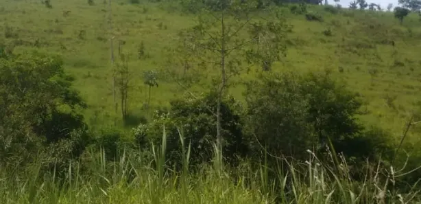 Fazenda / Sítio / Chácara à venda, 1030m² no , Igaratá