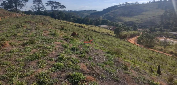 Fazenda / Sítio / Chácara com 1 Quarto à venda, 3500m² no Área Rural de Viçosa, Viçosa