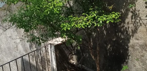 Casa Comercial com 1 Quarto para alugar, 65m² no Jardim Maria Rosa, Taboão da Serra