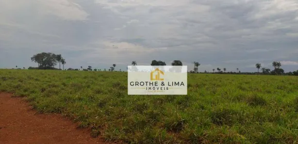 Fazenda / Sítio / Chácara à venda, 900m² no Centro, Pium