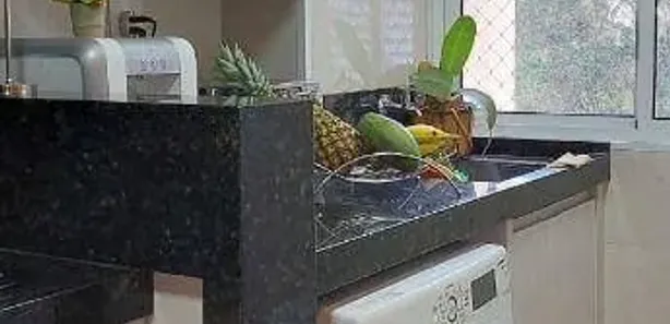 Apartamento com 2 Quartos para alugar, 52m² no Jardim Marajoara, Nova Odessa