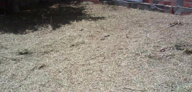 Terreno / Lote / Condomínio à venda, 300m² no Parque Verde II, Camaçari