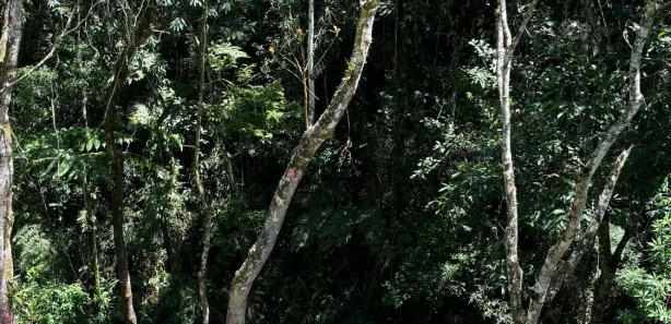 Sobrado com 2 Quartos à venda, 130m² no Visconde de Mauá, Resende
