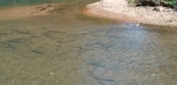 Fazenda / Sítio / Chácara com 5 Quartos à venda, 1600000m² no Área Rural do Gama, Brasília