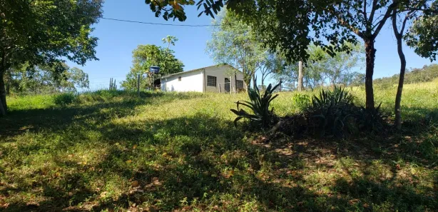 Fazenda / Sítio / Chácara com 4 Quartos à venda, 550000m² no Padre Bernardo, Padre Bernardo