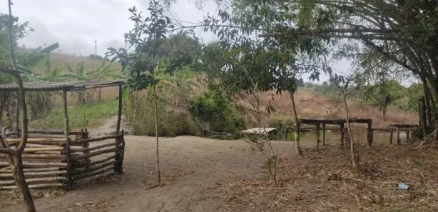 Fazenda / Sítio / Chácara com 3 Quartos à venda, 30000m² no Matriz, Vitória de Santo Antão