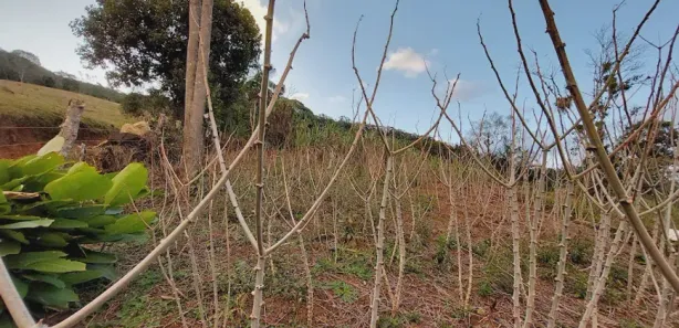 Fazenda / Sítio / Chácara com 2 Quartos à venda, 3000m² no , Águas Mornas