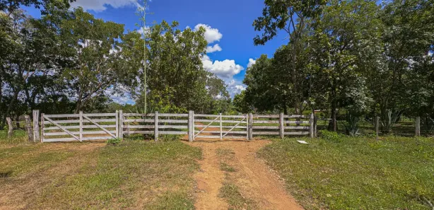 Fazenda / Sítio / Chácara com 3 Quartos à venda, 121m² no Área Rural de Formosa, Formosa
