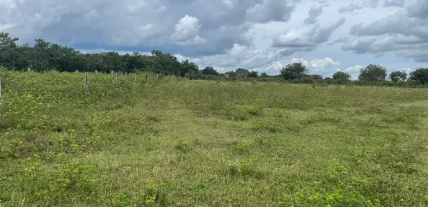 Fazenda / Sítio / Chácara com 3 Quartos à venda, 12899920m² no Setor Central, Divinópolis do Tocantins