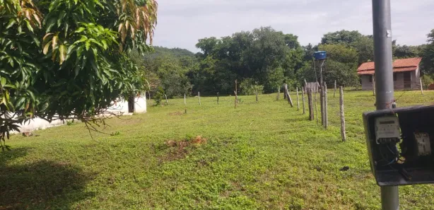Fazenda / Sítio / Chácara à venda, 1m² no , Paranã