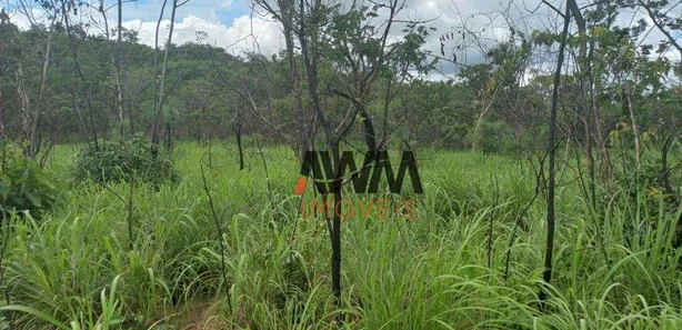 Fazenda / Sítio / Chácara à venda, 48400000m² no Área Rural de Gurupi, Gurupi