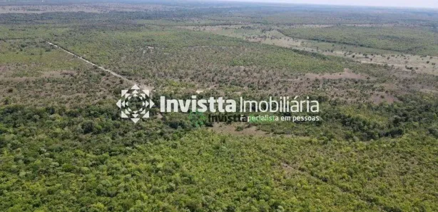 Fazenda / Sítio / Chácara à venda, 530m² no Centro, Pium
