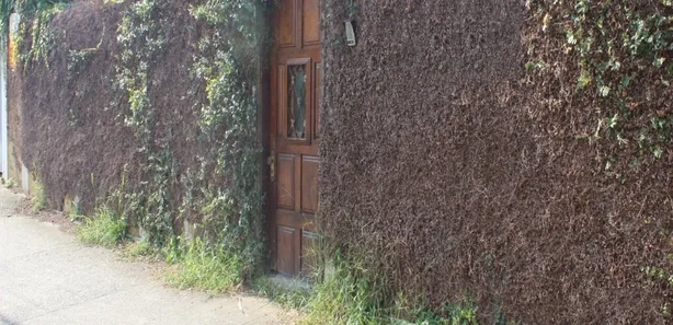 Casa com 3 Quartos para alugar, 260m² no Jardim Flórida, Jacareí