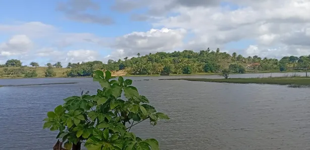 Fazenda / Sítio / Chácara com 3 Quartos à venda, 2900m² no , Mata de São João