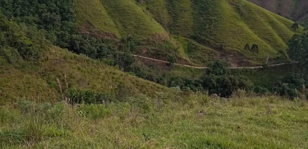 Fazenda / Sítio / Chácara à venda, 16940000m² no , Rio Branco do Sul