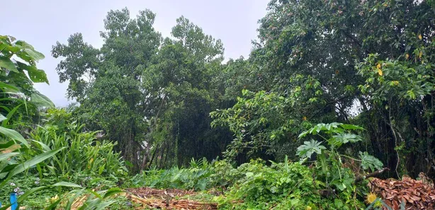 Terreno / Lote / Condomínio à venda, 2340m² no Camburi, São Sebastião