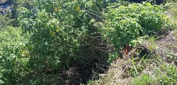 Terreno / Lote / Condomínio à venda, 574m² no Castelanea, Petrópolis