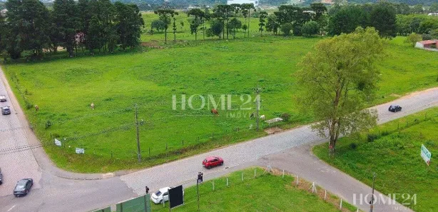 Terreno / Lote / Condomínio para alugar, 20750m² no Rio Pequeno, São José dos Pinhais