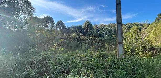 Fazenda / Sítio / Chácara à venda, 5500m² no Pacotuba, Almirante Tamandaré