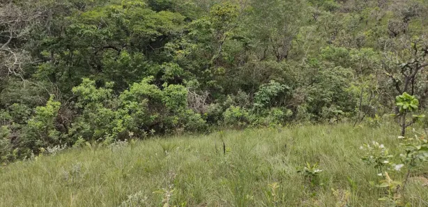 Fazenda / Sítio / Chácara à venda, 12000m² no Conjunto Habitacional Conceição Gomes Rabelo, Santo Antônio do Descoberto