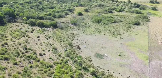 Fazenda / Sítio / Chácara à venda, 140000m² no , Sairé